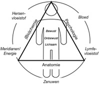 triad-of-health2.001